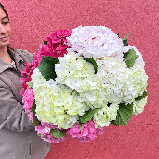 Support Australian Grown Flowers