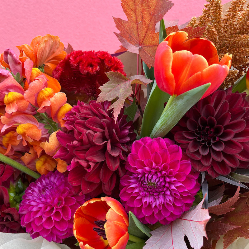 Send fresh autumn flowers in Melbourne and Mornington Peninsula. Order before 12pm for same day delivery.