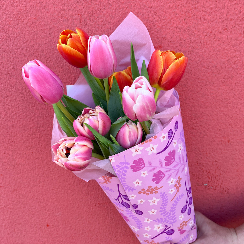 Colourful fresh tulip flowers bunch wrap gift
