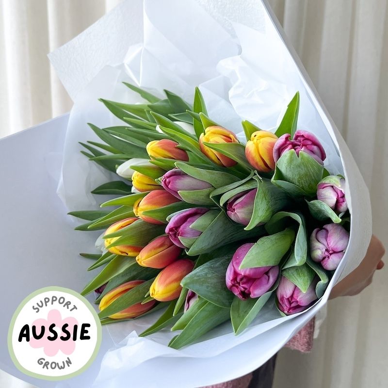 Colourful fresh tulip flowers bunch wrap gift