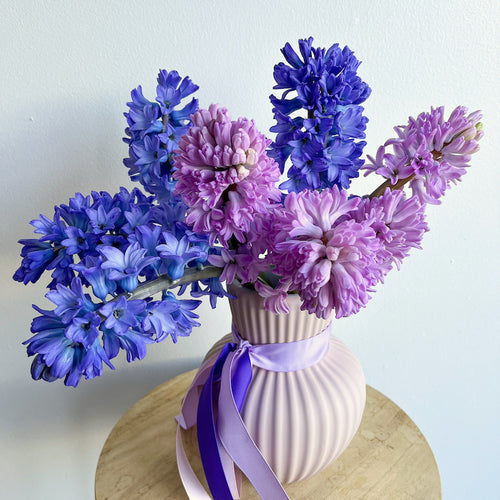 seasonal local grown flowers in a vase - Hyacinths