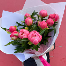 Load image into Gallery viewer, Fresh melbourne flower market peony bunch

