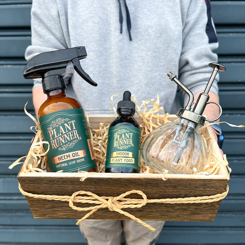 Indoor Plant Care Gift Set | Gift For Plant Lovers | Gift Delivery ...