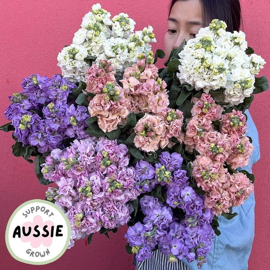 local grown fresh stock flowers bunch