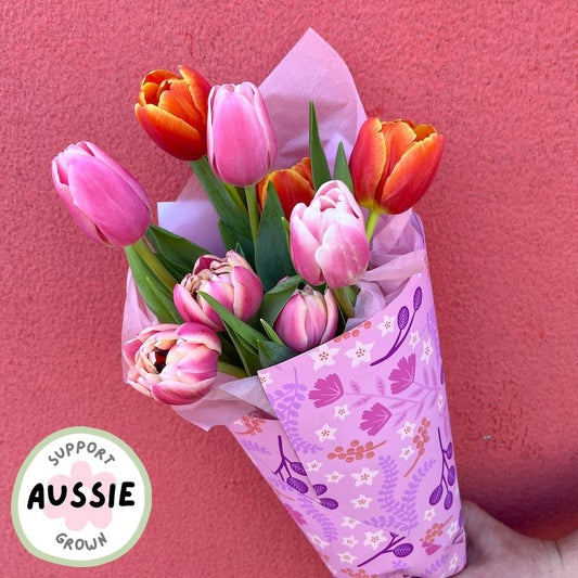 locally grown colourful tulip flowers wrap