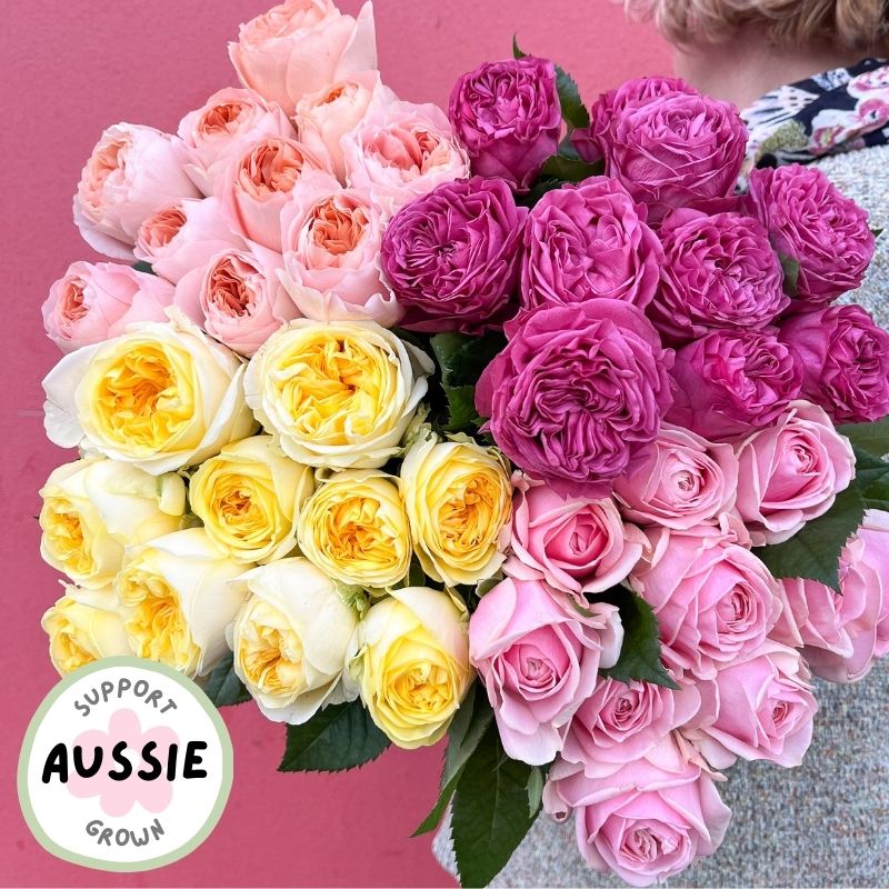 Locally Grown Roses | Grandiflora Roses | Roses Delivered Melbourne ...
