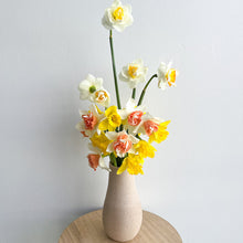Load image into Gallery viewer, Little Daffodils Sunshine
