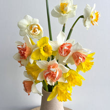 Load image into Gallery viewer, Little Daffodils Sunshine
