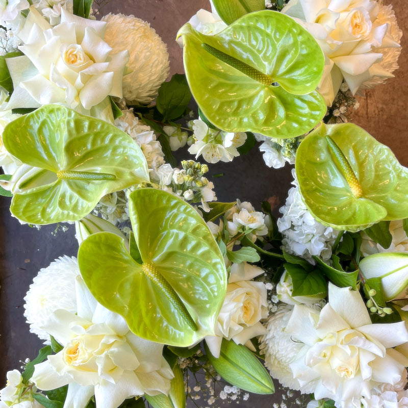 White and green seasonal flowers and foliage at the Flowers Alley studio, Cheltenham
