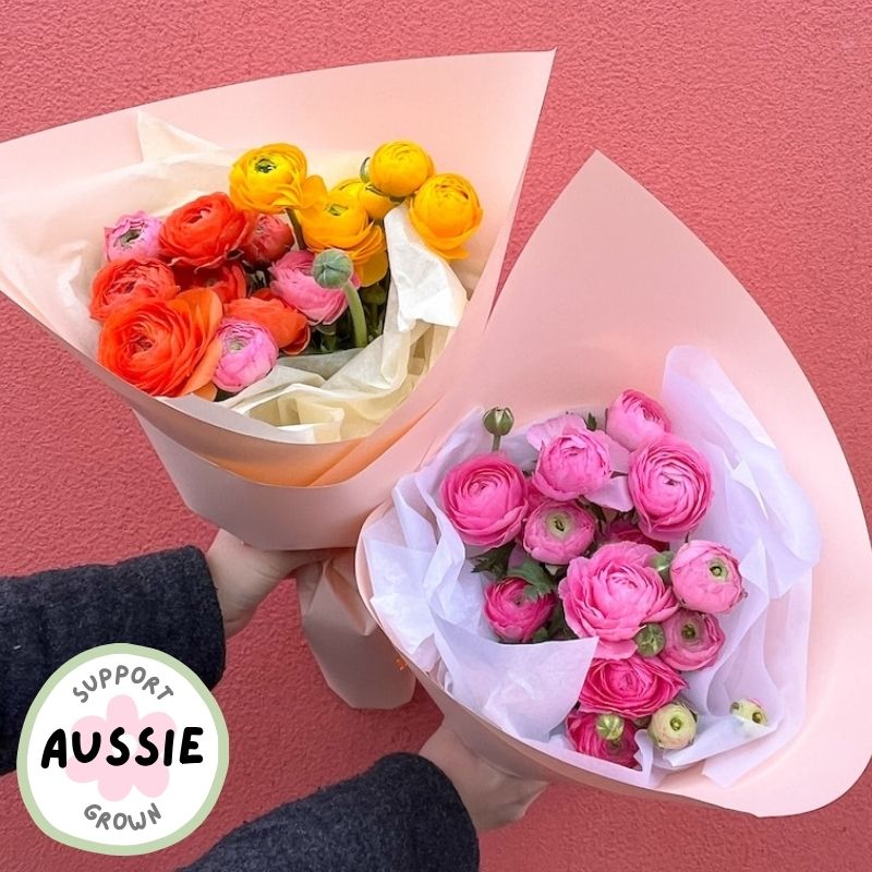 Fresh Seasonal Mixed Ranunculus Bunch