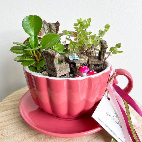Secret garden tea party plant gift