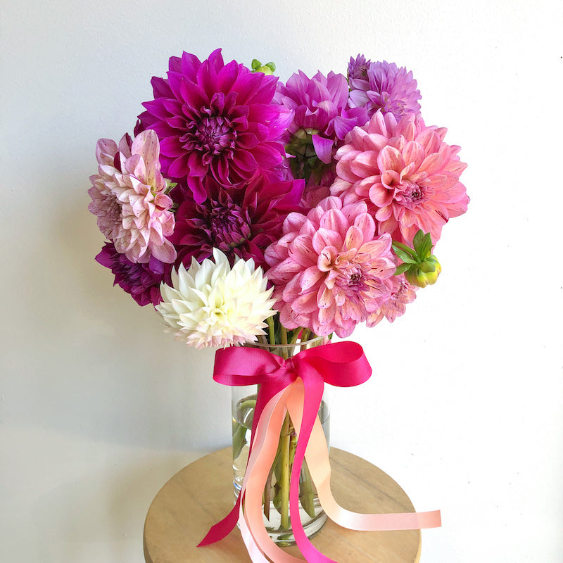 dahlia flowers in a vase