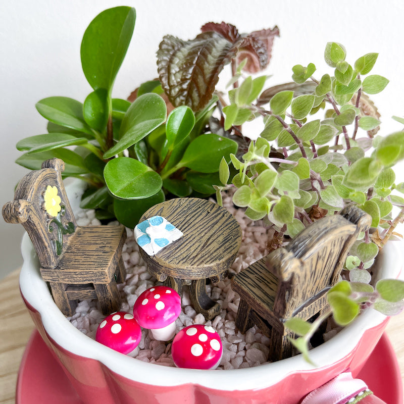 miniature garden