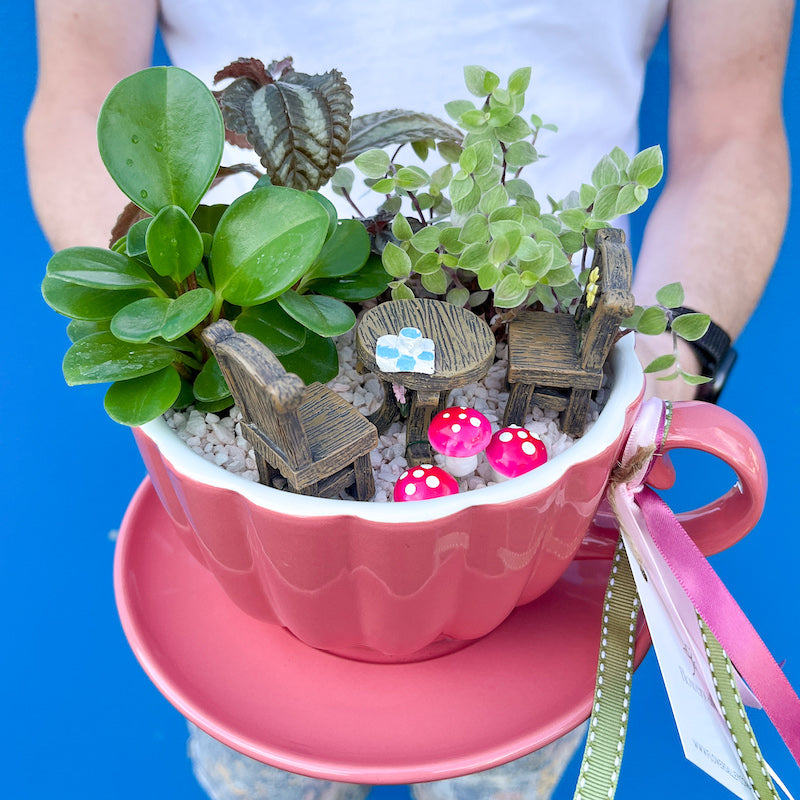 plant gift tea cup