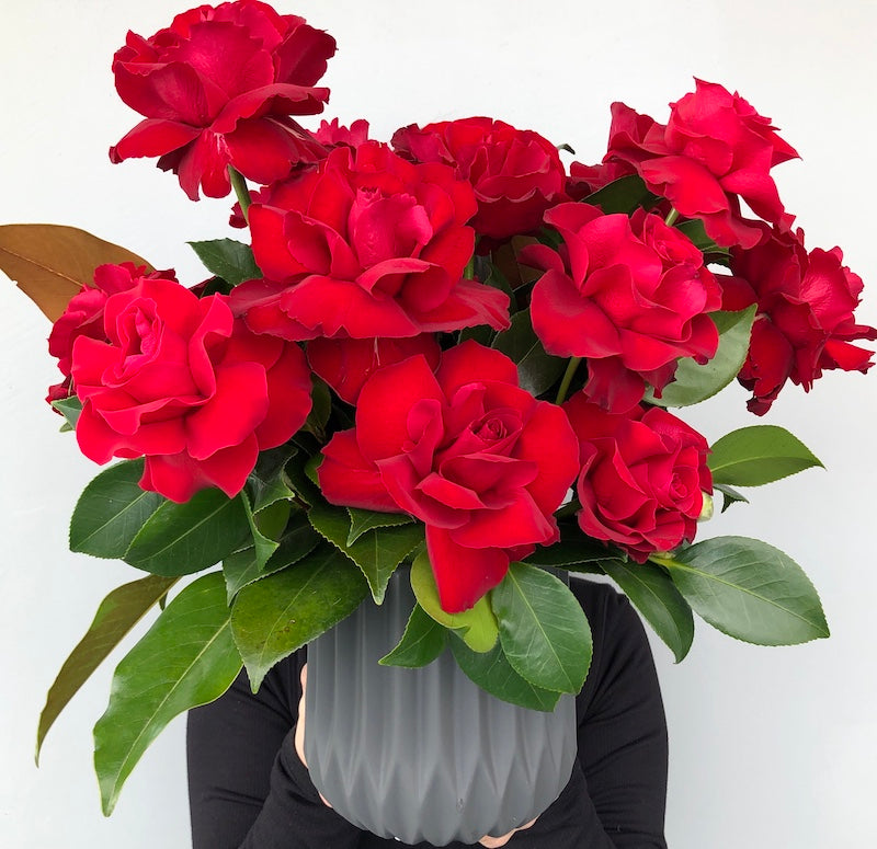 red rose flowers delivery in mornington