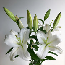 Load image into Gallery viewer, White oriental lily flowers
